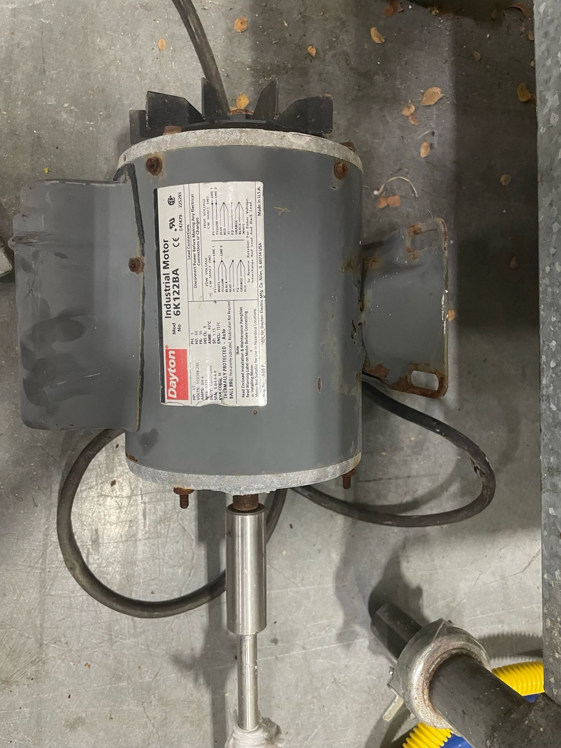 Dayton Industrial Motor