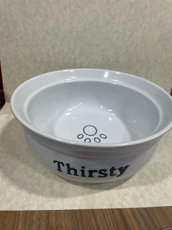 Thirsty Dog Bowl