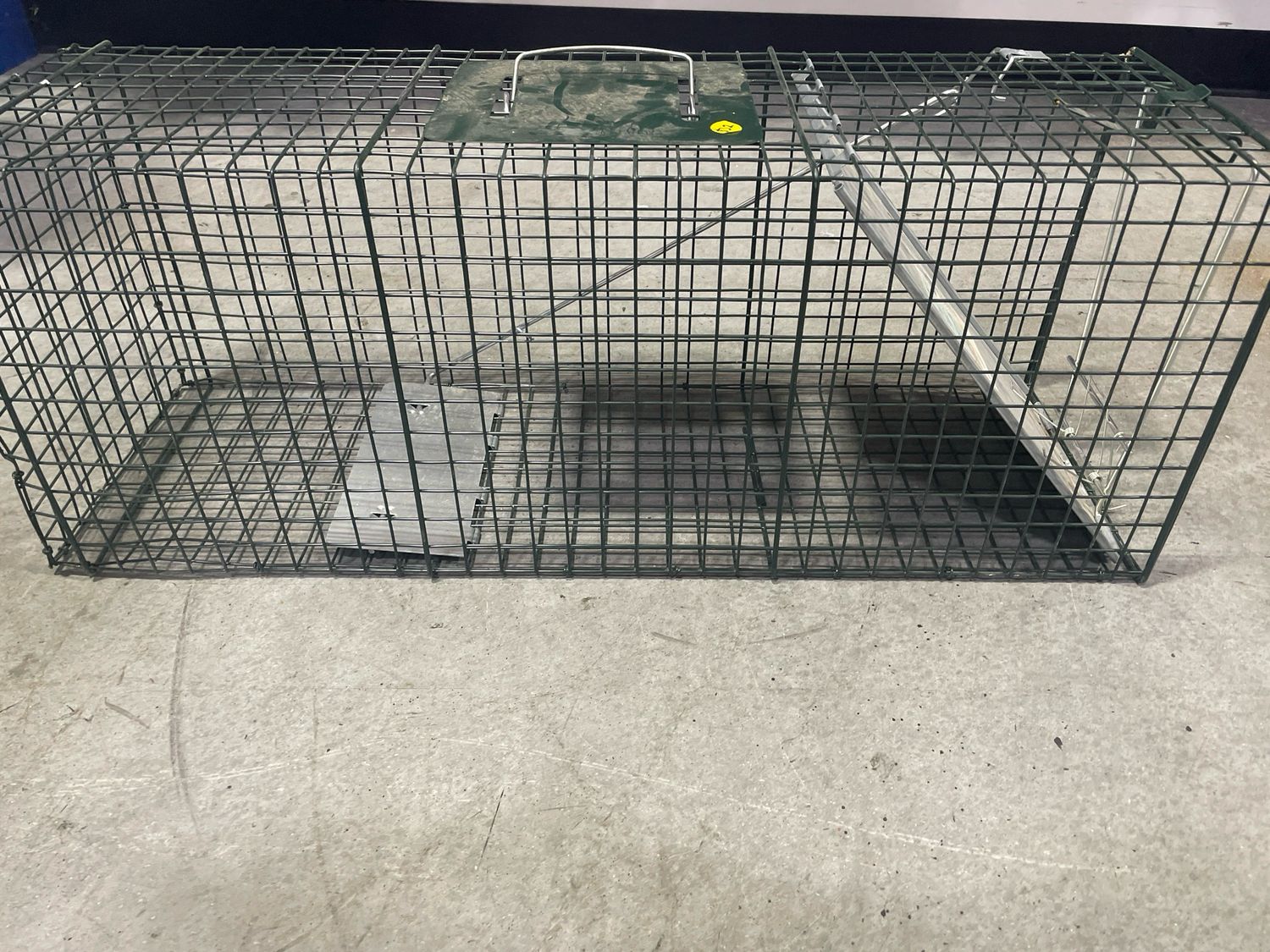 Humane Animal Trap