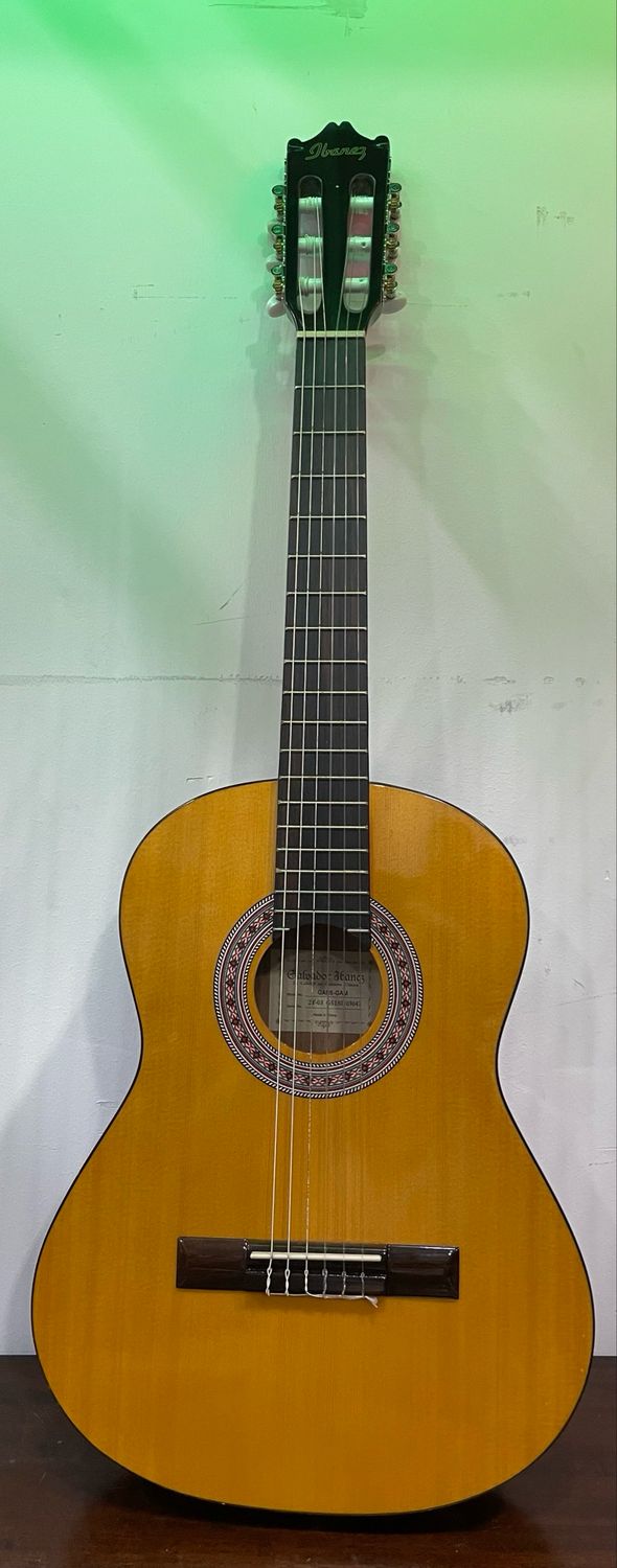 Ibanez Acoustic Guitar