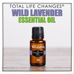 Wild Lavender Essential Oil