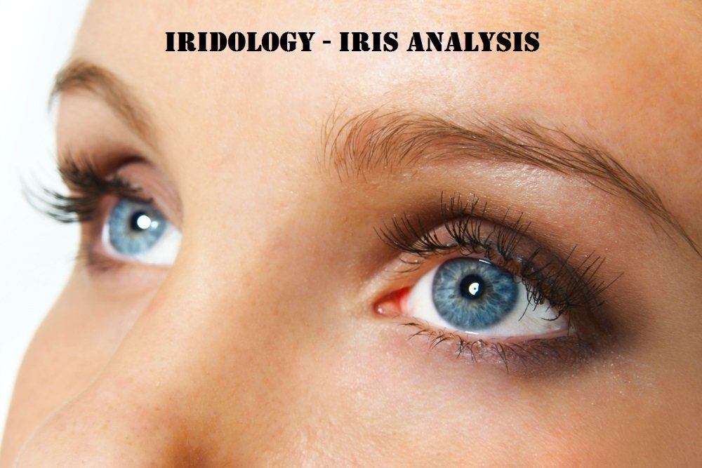 Iridology Basics 101 - Follow up