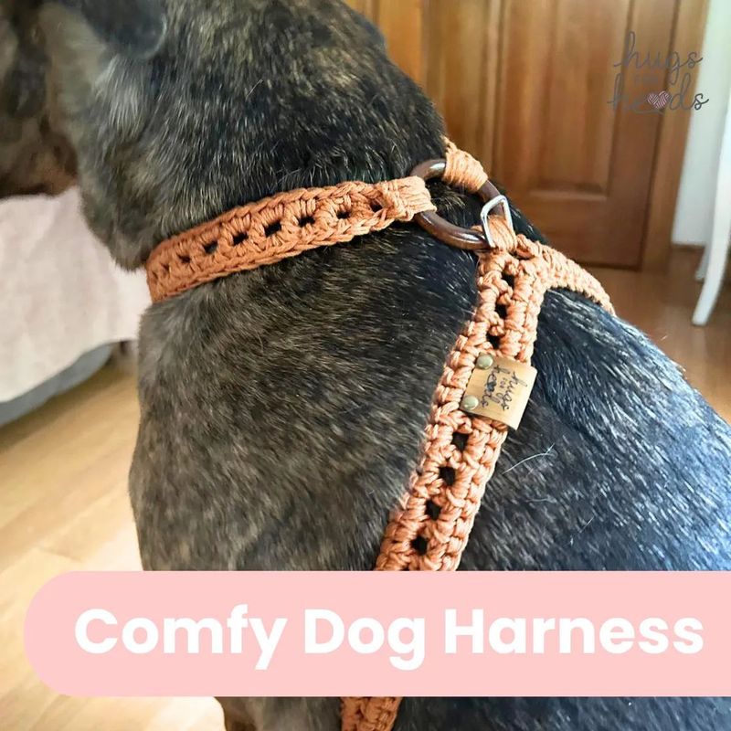 Crochet Dog Harness, Strong and functional, comfortable dog harness Crochet Dog Harness, Strong and functional, comfortable dog harness