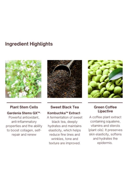 Plant Stem Cell &amp; Kombuchka Crème