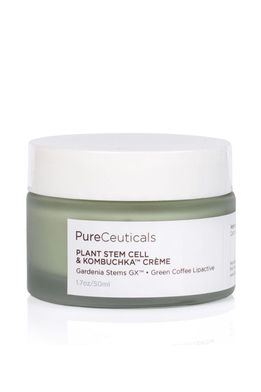 Plant Stem Cell &amp; Kombuchka Crème