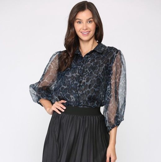 Chiffon Animal Print Blouse