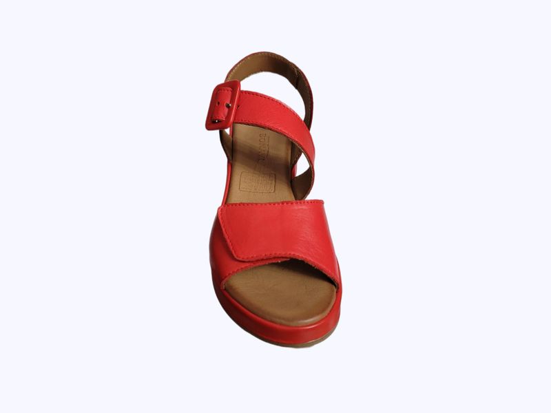 The Artemis Shoe