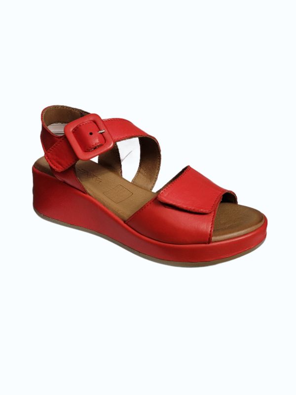 The Artemis Shoe