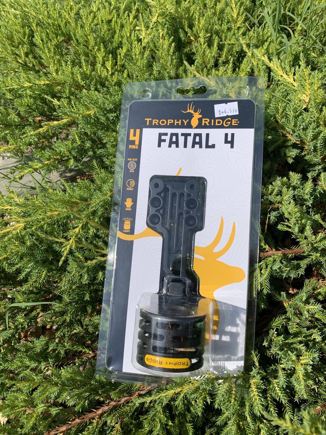 Fatal 4 4pin SIGHT