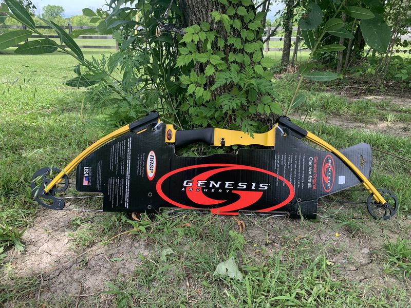 GENESIS BOW RH YELLOW