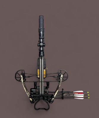 Bearx Domain Crossbow