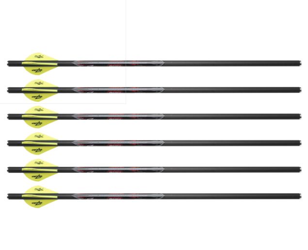 QUILL CROSSBOW BOLT 16.5 IN 6IN
