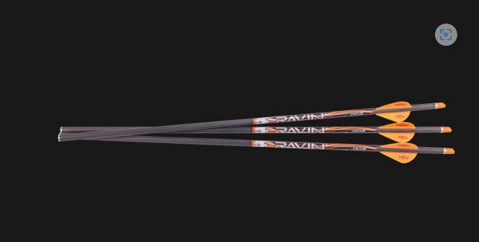 LIGHTED CARBON ARROWS .003 3 pk