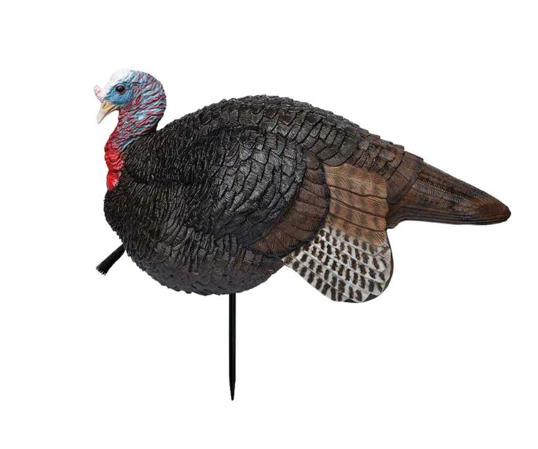 Primos Lil Gobbstopper Jake Turkey Decoy