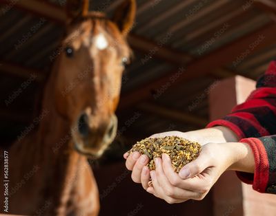 Horse Feed
