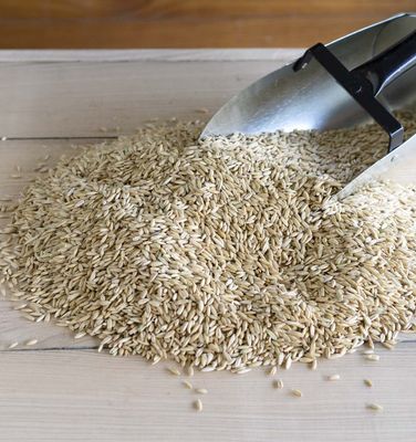 Specialty Grains