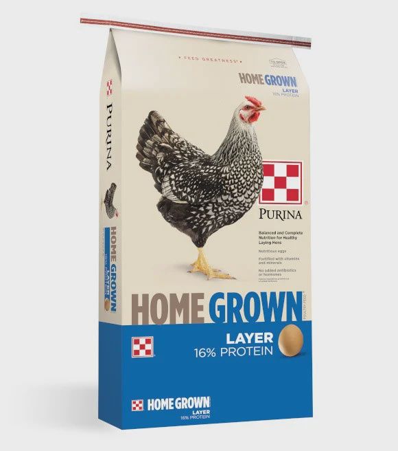 Purina HG Layer Crumble