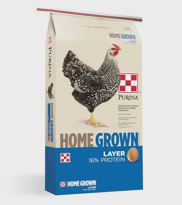 Purina HG Layer Crumble