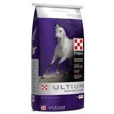 Purina Ultium Gastric