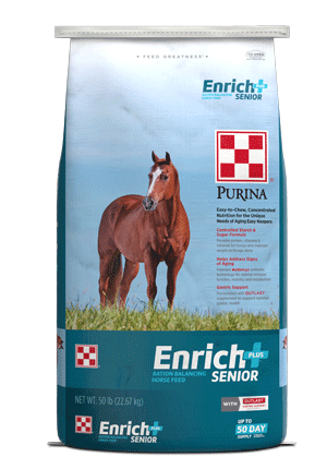 Enrich Plus Senior
