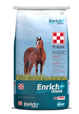 Enrich Plus Senior