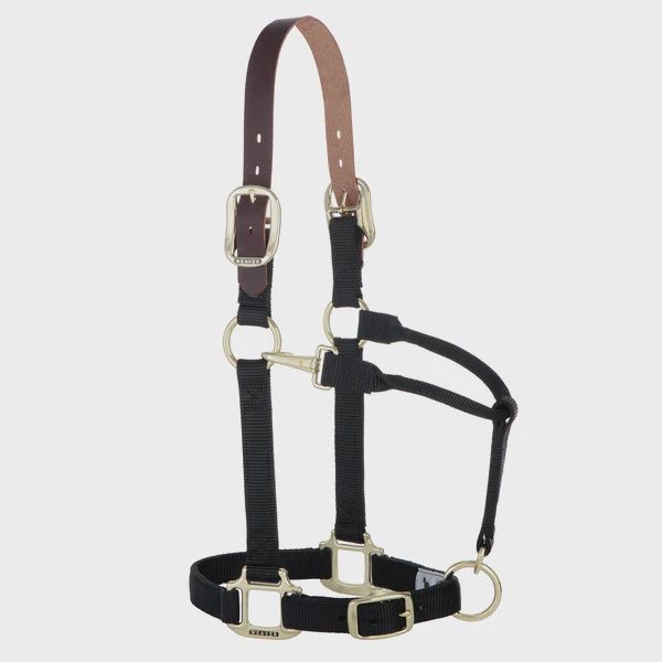 Weaver Original Break Away Halter Average