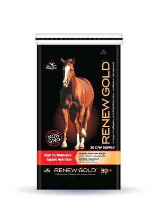 Renew Gold 30#