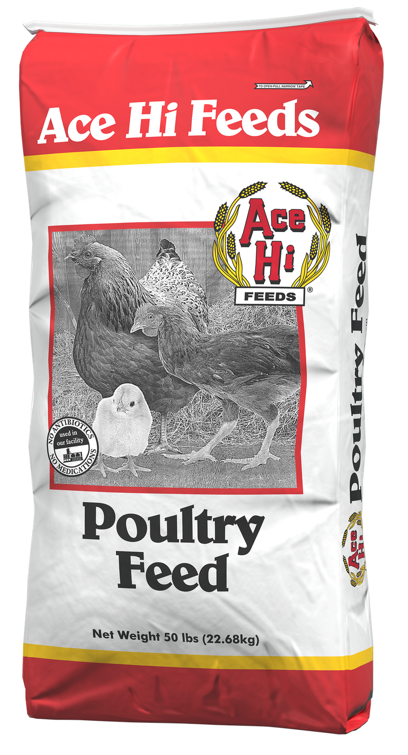 Chick Starter Mash (Non Medicated), Size: 25#