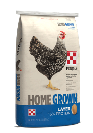 HG Layer Pellets 50#