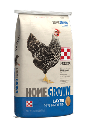 HG Layer Pellets 50#