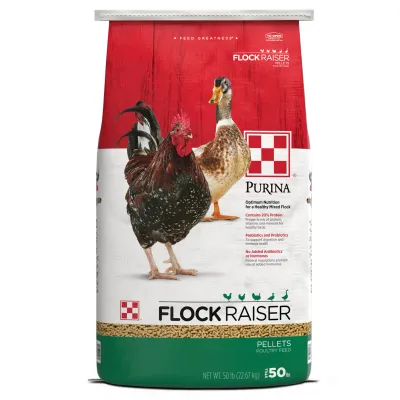 Flock Raiser Pellet 50# / Purina