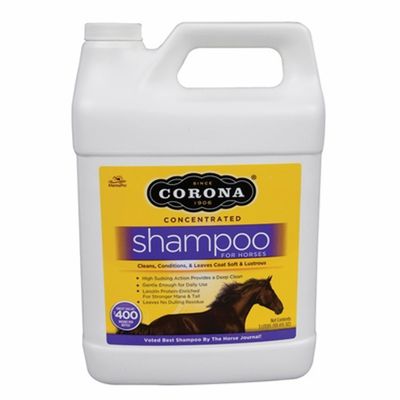Corona Shampoo 3 Liters