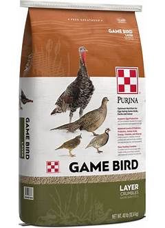 Gamebird Layer Crumbles 40# / Purina
