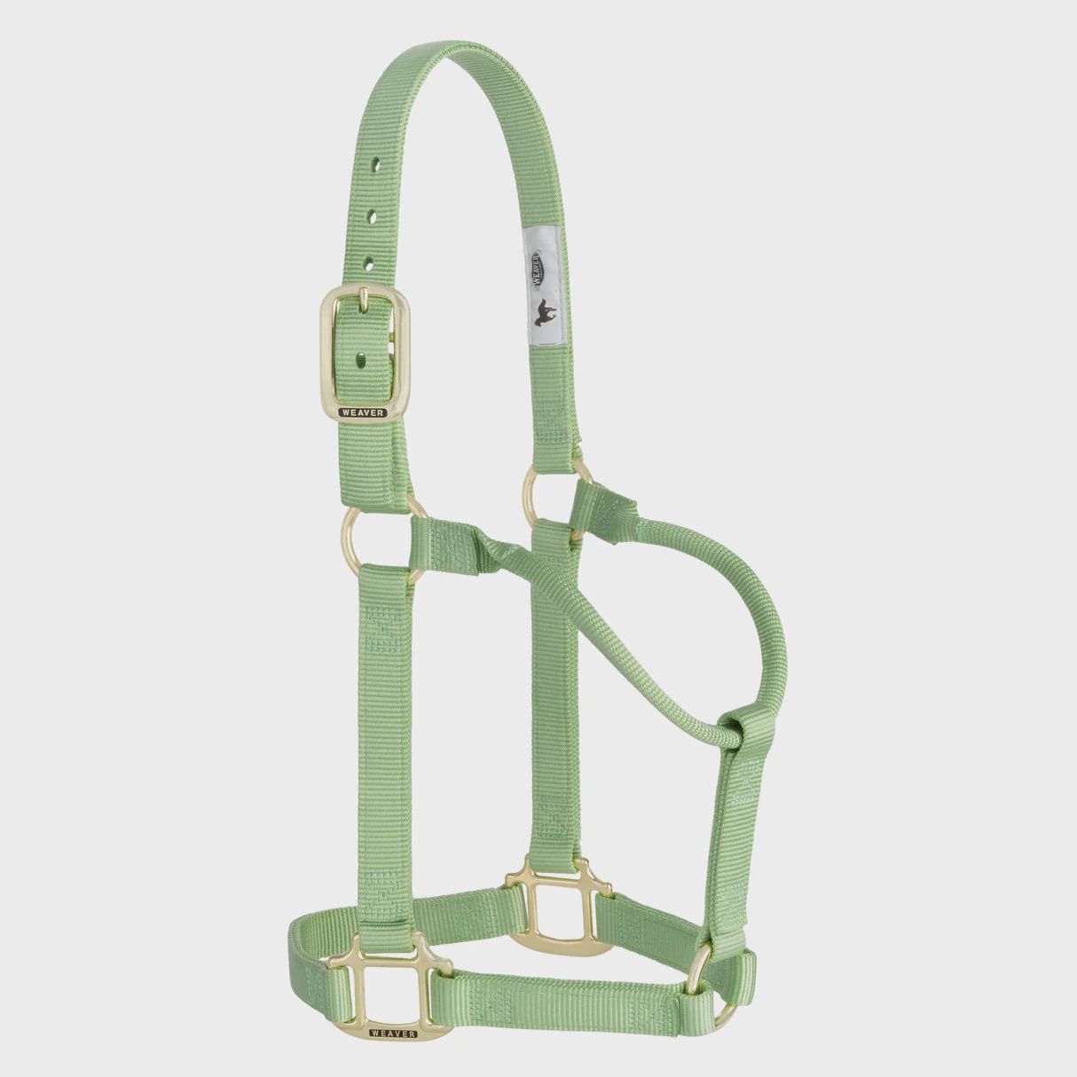 Original Non Adjustable Average Halter, Color: Pistachio Green