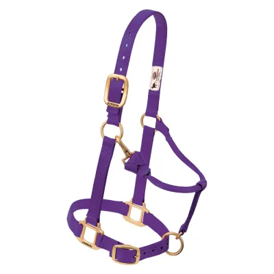 Large Adjustable Halter