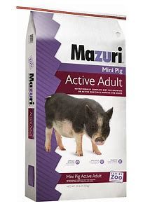Mini Pig Active Adult / Mazuri