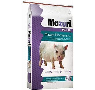 Mini Pig Mature Maintenance / Mazuri