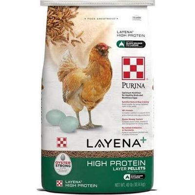 Layena High Protein