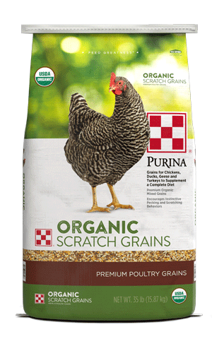 Organic Scratch / Purina