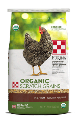 Organic Scratch / Purina