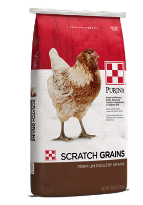 Scratch / Purina