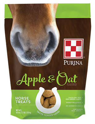 Apple and Oat Treat