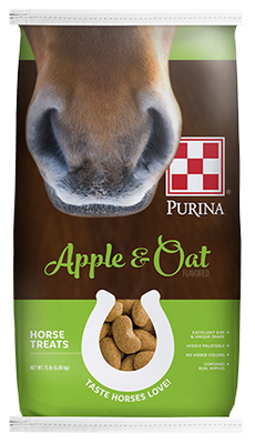 Apple and Oat Treat
