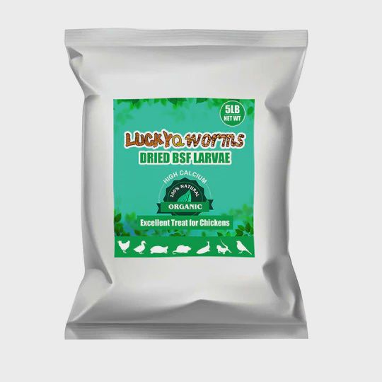 Lucky Q Black Soldier Mealworms, Size: 5#