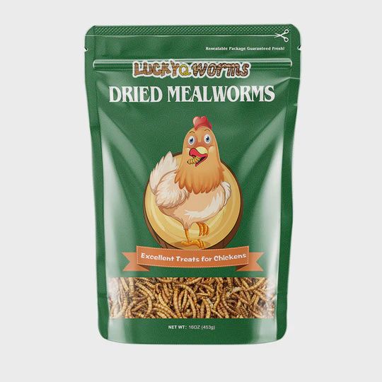 Lucky Q Mealworms, Size: 16 ounce