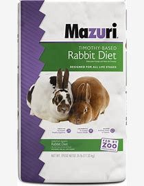 Rabbit with Timothy / Mazuri