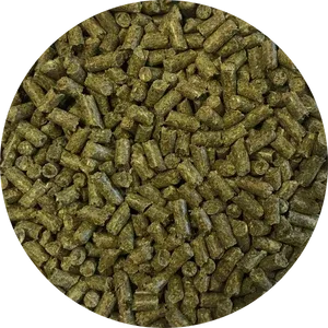 Rabbit Feed / Ace High