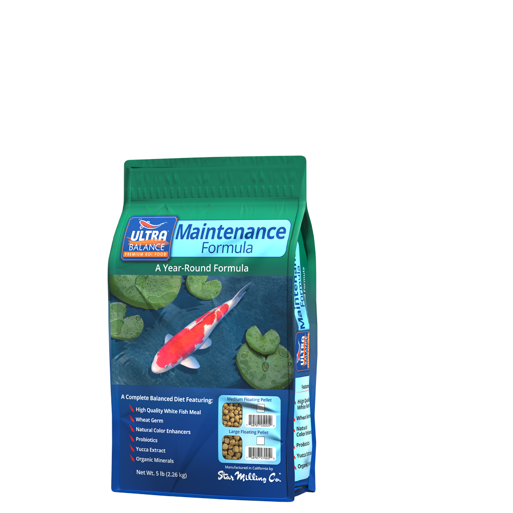 Ultra Balance Koi (Maintenance)