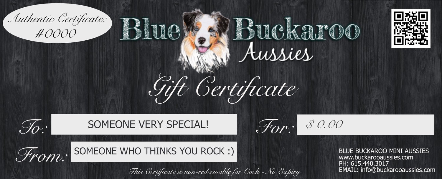 Blue Buckaroo Gift Certificate Blue Buckaroo Gift Certificate