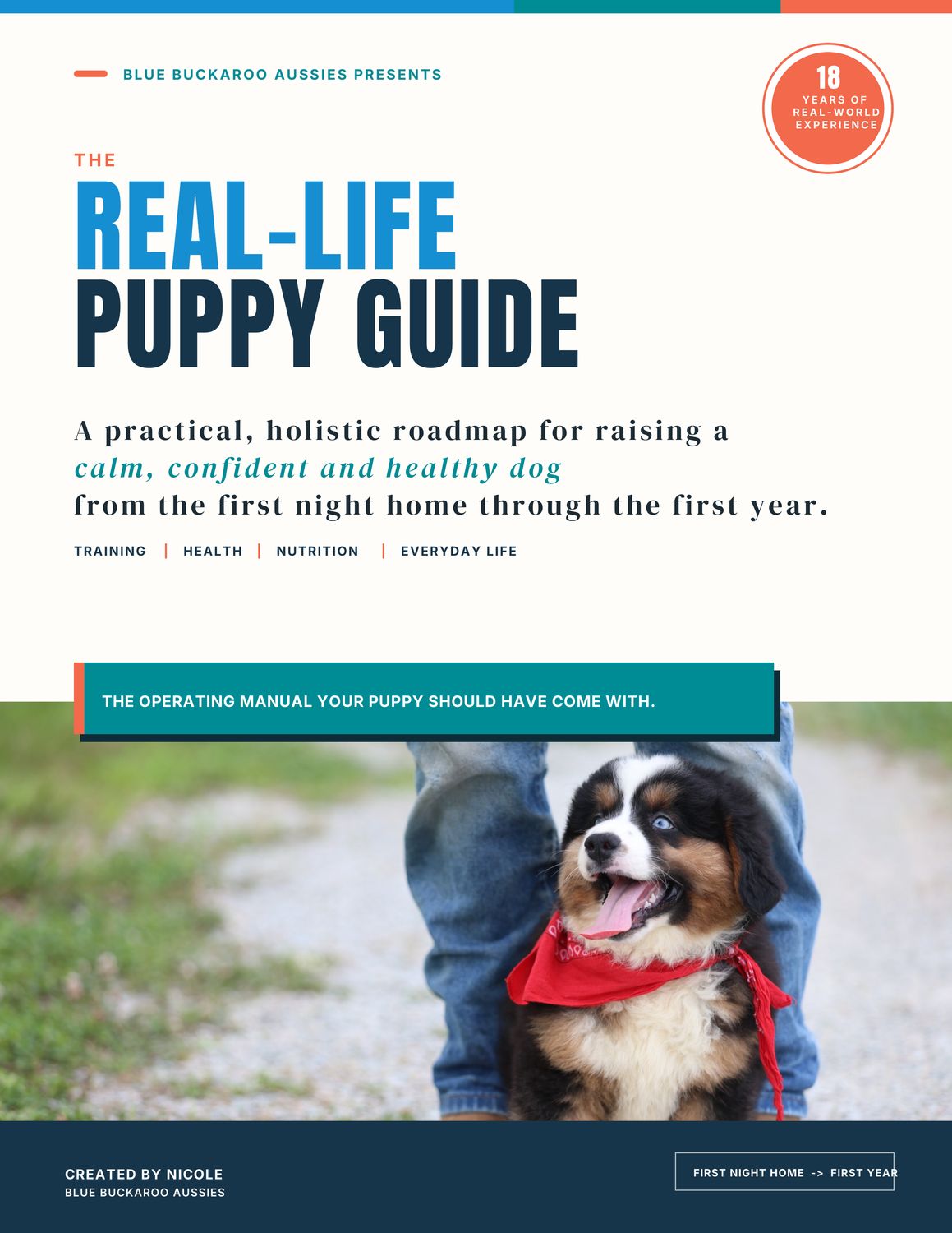 Ultimate Blue Buckaroo Puppy Guide